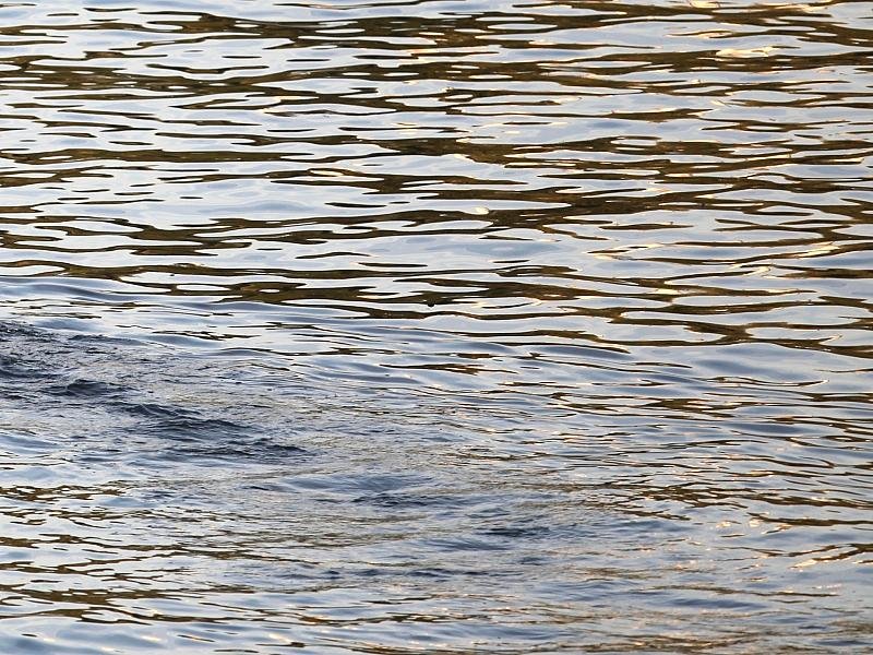 BUND kritisiert Niedrigwasserkonferenz ohne Umweltverbände