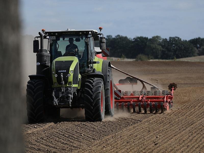 Erzeugerpreise landwirtschaftlicher Produkte im Juni gesunken