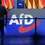 Ex-Verfassungsrichter warnt vor “kleinem Parteiverbot” der AfD