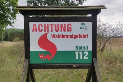 Feuerwehrverband: Höhere Strafen bei Waldbränden kein Allheilmittel