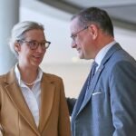 Forsa: AfD bleibt auf Rekordhoch