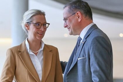 Forsa: AfD bleibt auf Rekordhoch