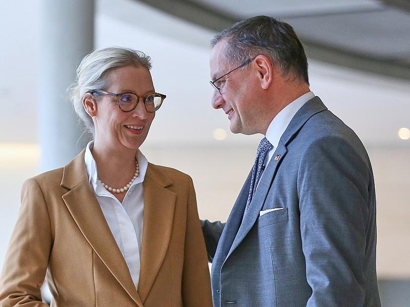 Forsa: AfD bleibt auf Rekordhoch