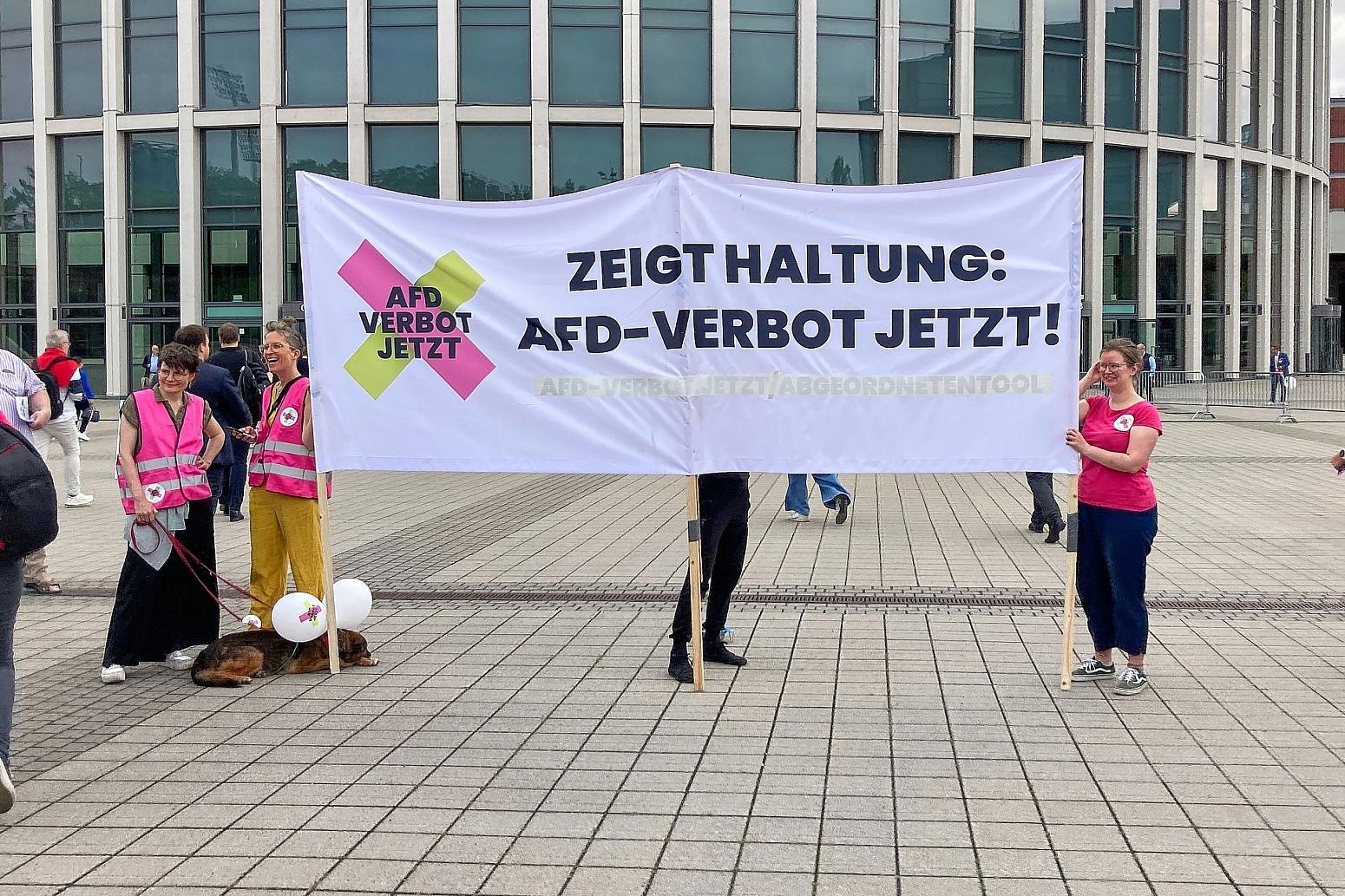 Grüne drängen auf Verbotsverfahren gegen gesamte AfD