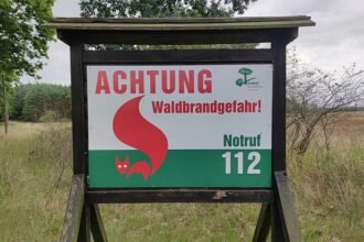 Grüne fordern nationale Feuermanagementstrategie