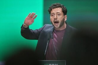 Grünen-Chef räumt Mitschuld am AfD-Aufstieg ein