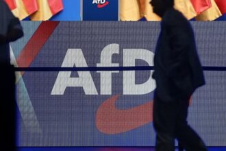 Historikerin warnt Unternehmen vor Nähe zur AfD