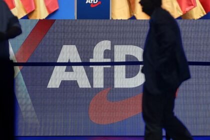 Historikerin warnt Unternehmen vor Nähe zur AfD