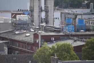 Ifo-Institut: Geschäftsklima in der Chemie stark verbessert