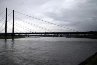 IW warnt vor den Folgen des Rhein-Niedrigwassers