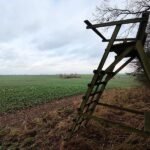 Jagdverband fordert mehr Einsatz gegen illegale Waffen