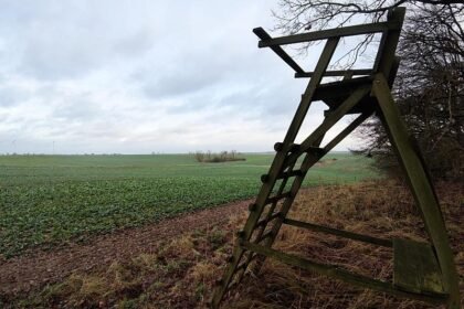 Jagdverband fordert mehr Einsatz gegen illegale Waffen