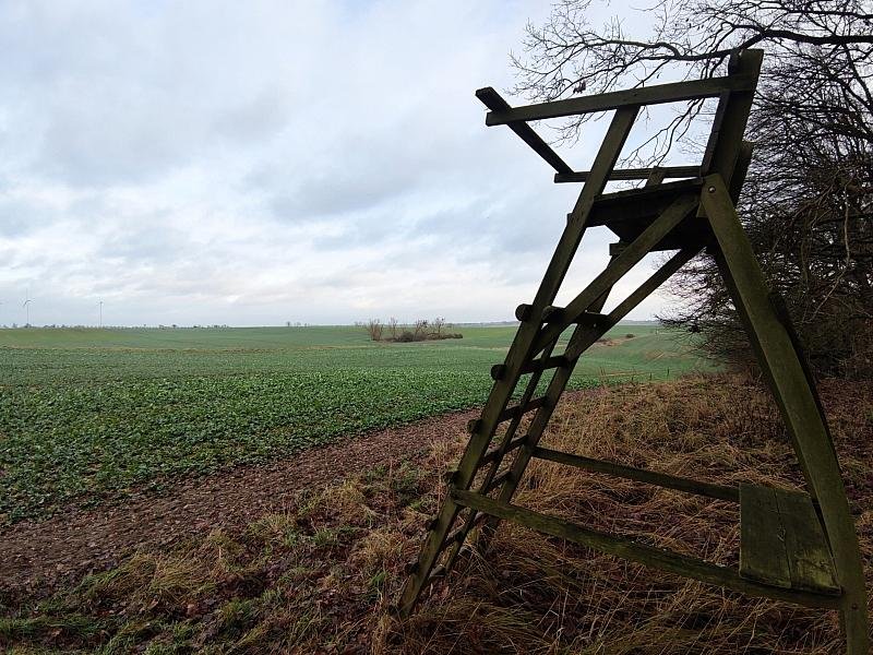 Jagdverband fordert mehr Einsatz gegen illegale Waffen
