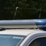 Männlicher Torso in Wald bei Flensburg gefunden