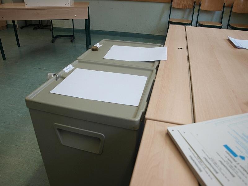 Nouripour will Wahltermine bündeln