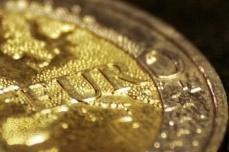 Ökonom widerspricht Weidel: Euro ist keine “Weichwährung”