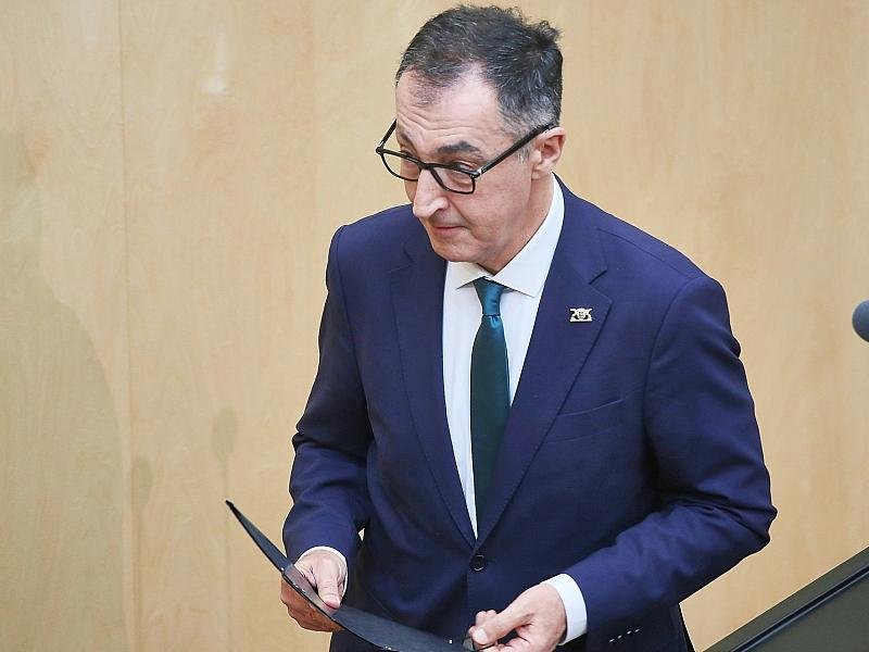 Özdemir konkretisiert Forderung nach AfD-Verbotsverfahren
