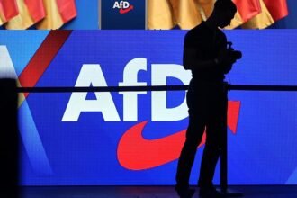 Politbarometer: AfD weiter klar vorn – Grüne legen zu