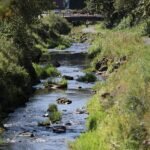 SPD warnt vor Verteilungskämpfen um Wasser