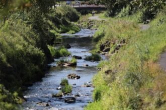 SPD warnt vor Verteilungskämpfen um Wasser