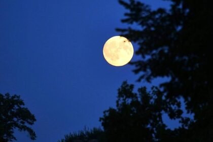 Start-up baut Großteil der Satelliten für EU-Konstellation Iris 2