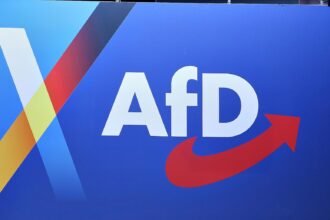 Umfrage: Jeder Fünfte würde bei AfD-Regierung auswandern
