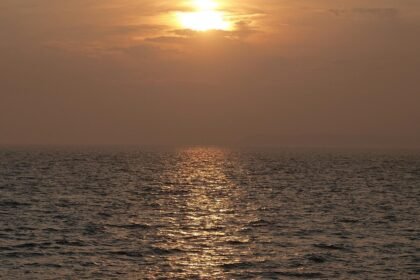 Zwei deutsche U-Boot-Wracks in der Ostsee entdeckt