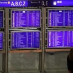 Zwei Tote durch Malaria am Frankfurter Flughafen