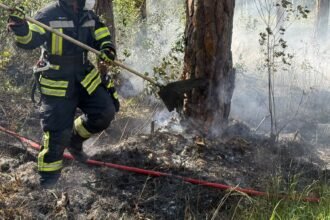 Waldbrand bei Augsburg-Haunstetten: Feuerwehr löscht rund 1.000 Quadratmeter