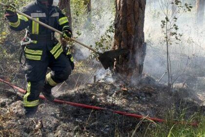 Waldbrand bei Augsburg-Haunstetten: Feuerwehr löscht rund 1.000 Quadratmeter