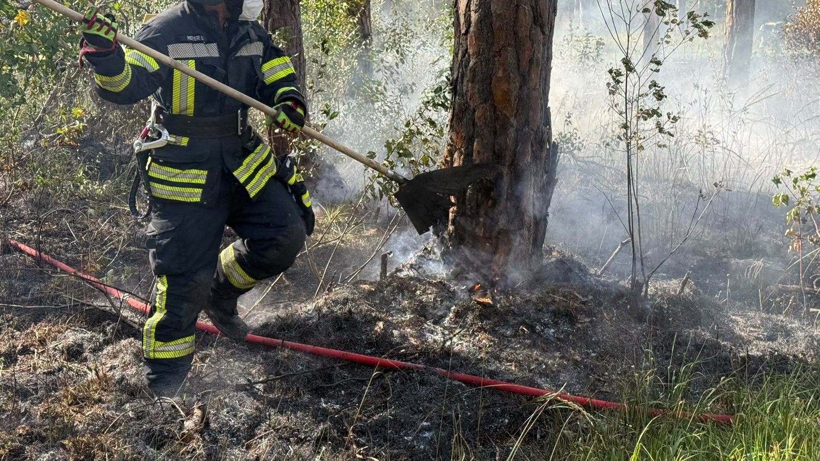 Waldbrand bei Augsburg-Haunstetten: Feuerwehr löscht rund 1.000 Quadratmeter