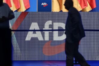 AfD am häufigsten von politischer Gewalt betroffen