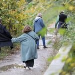 Bildungsunterschiede bei jüngeren Paaren geringer als bei älteren
