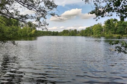 DLRG verzeichnet mehr tödliche Wasserunfälle in Badesaison