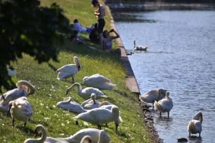 DWD: September ungewöhnlich warm und im Südwesten extrem trocken