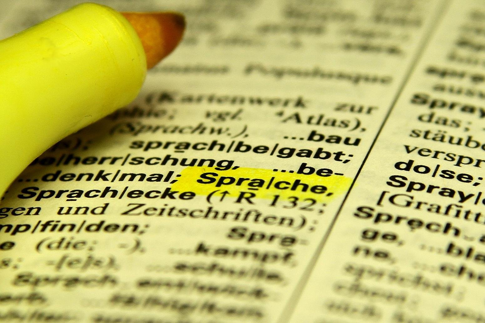 Grüne fordern mehr Geld für Sprachförderung