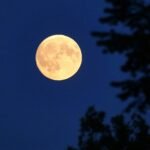 Leonardo: Satelliten-Joint-Venture schafft kein Monopol