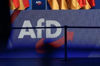 Ökonomen warnen vor AfD-Regierung