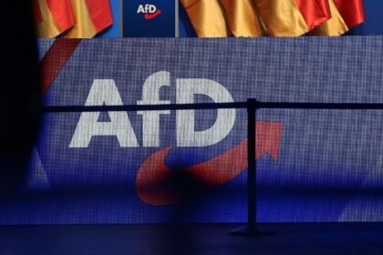 Ökonomen warnen vor AfD-Regierung