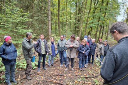 Nördlinger Stiftungswald: 39 Prozent der Pflanzen ausgefallen