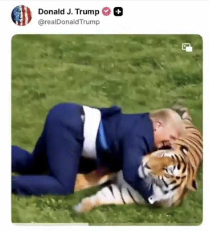 Trump soll Opfer tödlicher Tigerattacke mit KI-Video verhöhnt haben