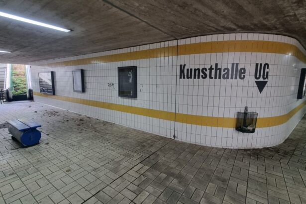 Mehr Grün und Kunst für Augsburg: Unterführung am Kongress am Park soll attraktiver werden