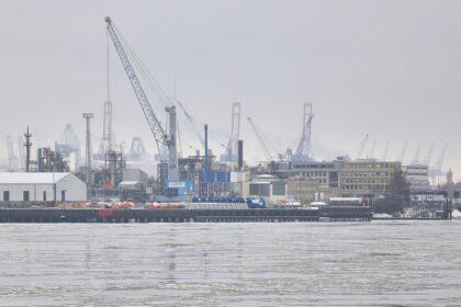 Bundesregierung untersagt Cosco-Übernahme am Hamburger Hafen