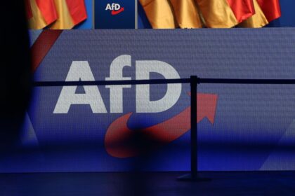 Verfassungsrechtler: AfD-Zuschüsse könnten gestrichen werden
