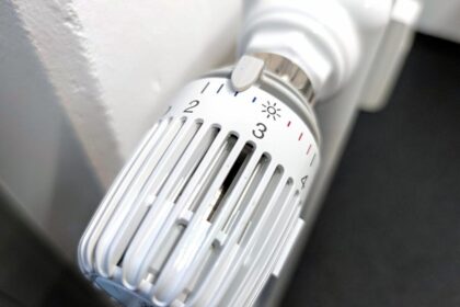 IEA-Chef: Müssen auf milden Winter hoffen
