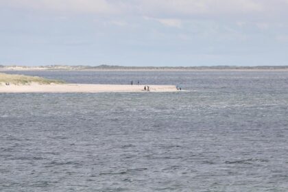 CCS-Experte kritisiert Reiches Pläne für CO2-Endlager unter Nordsee
