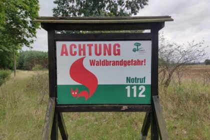 DIW: 2026 doppelt so viel Fläche verbrannt wie im Zehnjahresschnitt