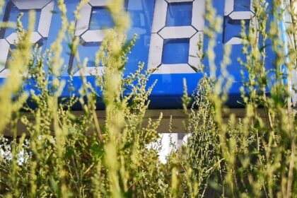 Produktion von Benzin und Diesel im 1. Halbjahr 2026 gestiegen