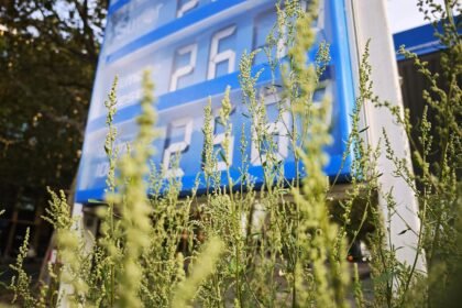 Reichinnek kritisiert Wiedereinführung des Tankrabatts