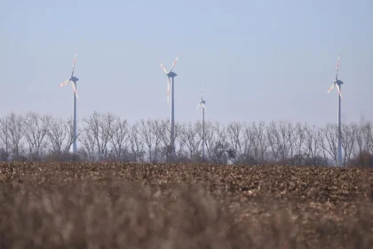 Studie: Gedeckelte Windkraft-Pachten könnten um Milliarden entlasten